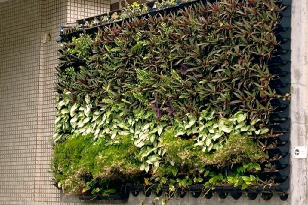 jardim vertical natural - carrossel 3