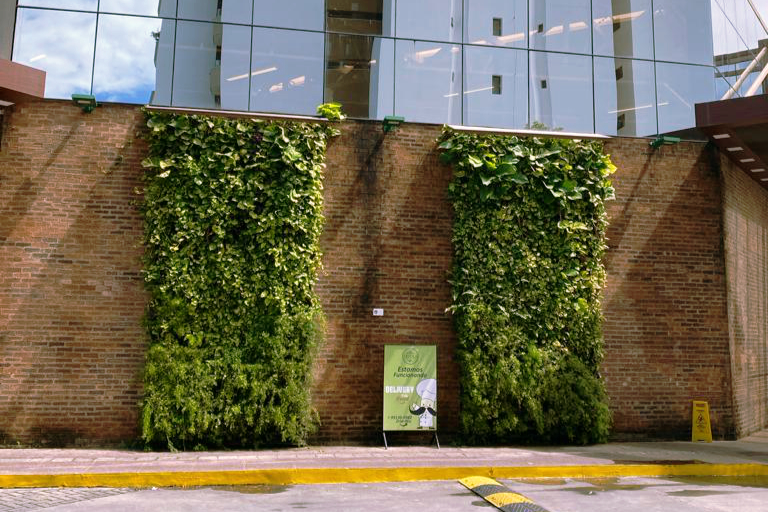 jardim vertical natural - carrossel 6