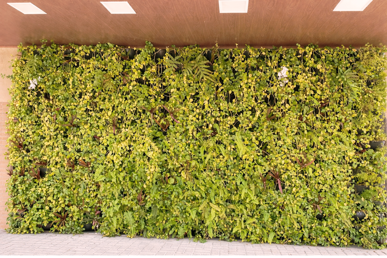 jardim vertical natural - carrossel2